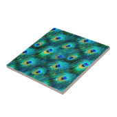 Peacock Glory Tegeltje (Zijkant)