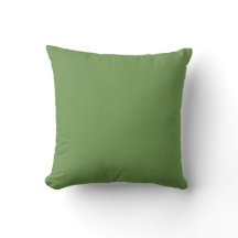 Peacock Green Pillow