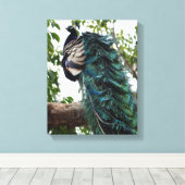 Peacock Greeting Canvas Afdruk (Insitu (Houten vloer))