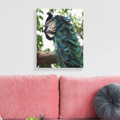 Peacock Greeting Canvas Afdruk (Insitu (Woonkamer))