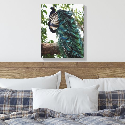 Peacock Greeting Canvas Afdruk (Insitu (Slaapkamer))