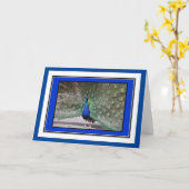 Peacock Groeten Kaart (Gele Bloem)