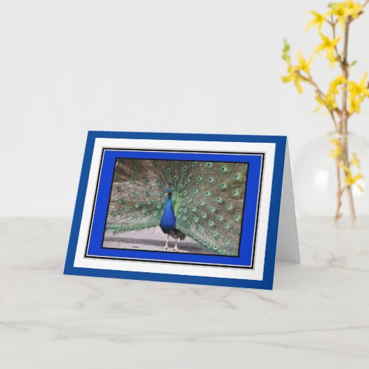Peacock Groeten Kaart (Gele Bloem)