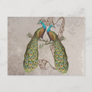 Peacock Grunge Damask Tortelduifjes Briefkaart