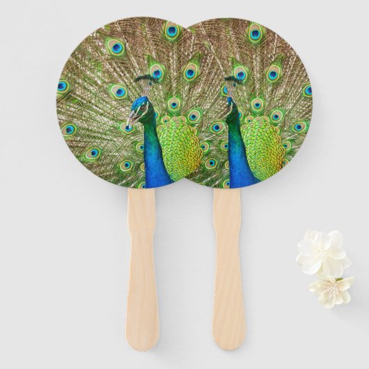 Peacock Handwaaier (Voorkant en achterkant)