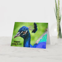 Peacock Happy Birthday Kaart