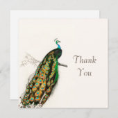 Peacock Hartelijk dank voor de  kaart met illustra (Voorkant / Achterkant)