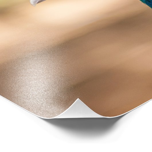 Peacock Head Foto Afdruk (Hoek)