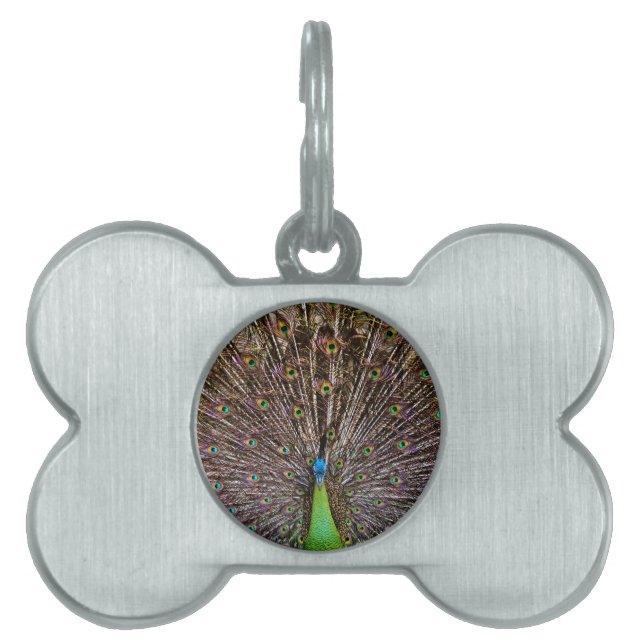 Peacock Huisdieren Naamplaatje (voorkant)