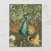  Peacock Illustratie Briefkaart (Voorkant)