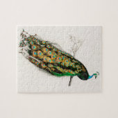 Peacock Illustratie  kunst Afdrukken Legpuzzel (Horizontaal)
