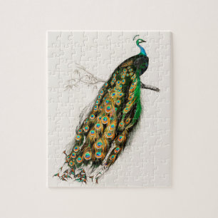 Peacock Illustratie  kunst Afdrukken Legpuzzel