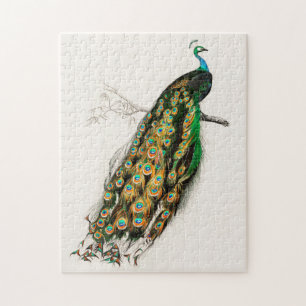 Peacock Illustratie  kunst Afdrukken Legpuzzel