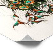 Peacock Illustratie  kunst Afdrukken Poster (Hoek)