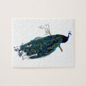 Peacock Illustratie Legpuzzel (Horizontaal)