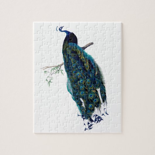  Peacock Illustratie Legpuzzel (Verticaal)
