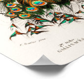  Peacock Illustratie Poster (Hoek)