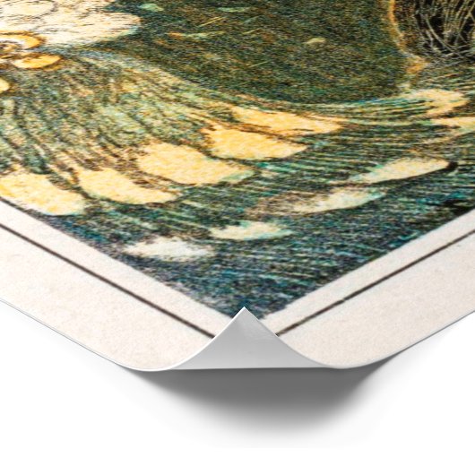  Peacock Illustratie Poster (Hoek)