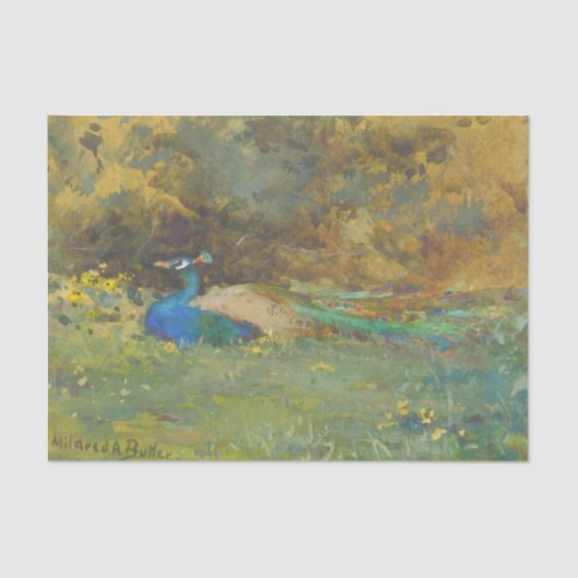 Peacock in a Garden van Mildred Anne Butler Tissuepapier (Voorkant)