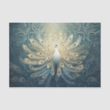 Peacock in bloei, witte veren, elegantie