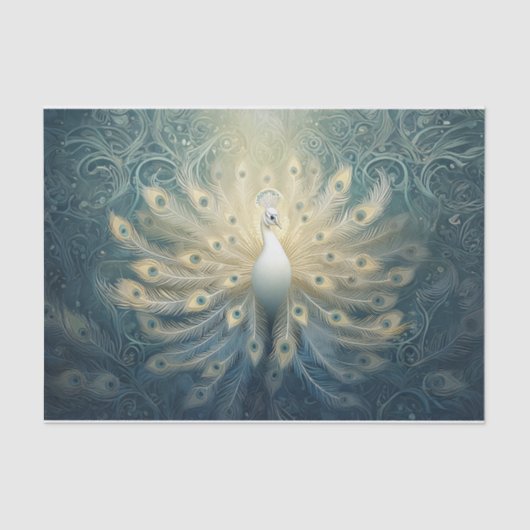 Peacock in bloei, witte veren, elegantie tissuepapier (Voorkant)