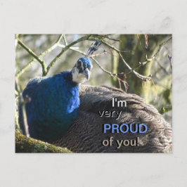 Peacock in Boom PROUD van U! Briefkaart