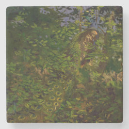 Peacock in de Bossen (door Abbott Henderson Thayer Stenen Onderzetter