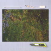 Peacock in de Bossen (door Abbott Henderson Thayer Tissuepapier (Craft)