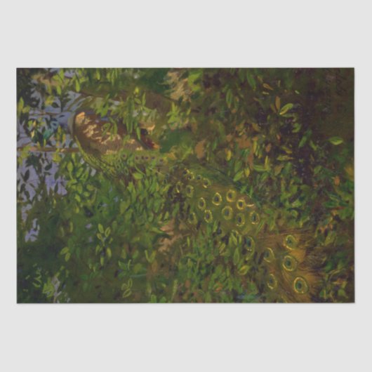 Peacock in de Bossen (door Abbott Henderson Thayer Tissuepapier (Voorkant)