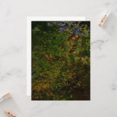 Peacock in de Bossen Kaart (Voorkant / Achterkant in situ)