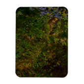 Peacock in de Bossen Magneet (Verticaal)
