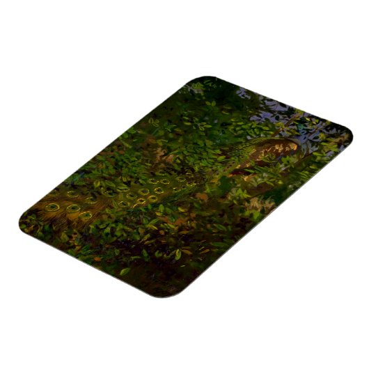 Peacock in de Bossen Magneet (Linkerzijde)