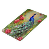 Peacock in de roze tuin magneet (Linkerzijde)