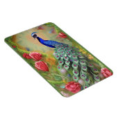 Peacock in de roze tuin magneet (Rechterzijde)