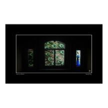 Peacock in een Poster van het Venster