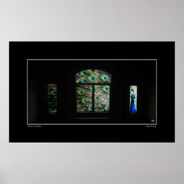 Peacock in een Poster van het Venster