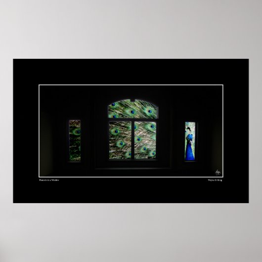 Peacock in een Poster van het Venster (Voorkant)