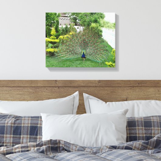 Peacock in een tuin Canvas Print (Insitu (Slaapkamer))