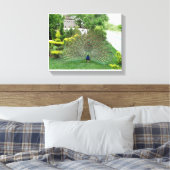 Peacock in een tuin Canvas Print (Insitu (Slaapkamer))