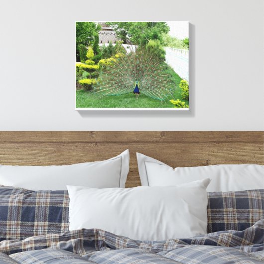 Peacock in een tuin Canvas Print (Insitu (Slaapkamer))