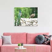 Peacock in een tuin fotografie Print Wall Art (Insitu (Woonkamer))