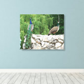Peacock in een tuin fotografie Print Wall Art (Insitu (Houten vloer))