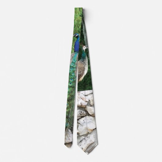 Peacock in een tuinfoto-Stropdas Stropdas (Achterkant)
