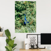 Peacock in groene struiken poster (Thuiskantoor)