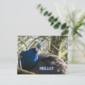 Peacock in het Briefkaart HALLO bomen (Staand voorkant)