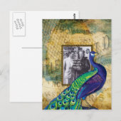  Peacock in het Lijst van Parijs Briefkaart (Voorkant / Achterkant)