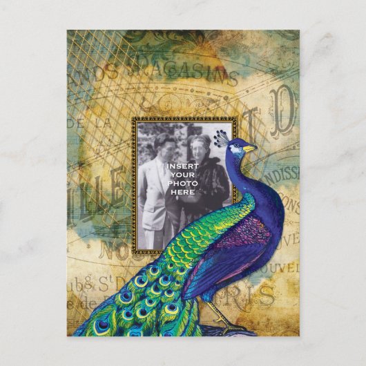  Peacock in het Lijst van Parijs Briefkaart (Voorkant)