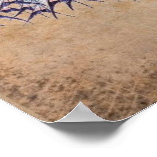  Peacock in kooi Poster (Hoek)