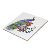  Peacock in kooi Tegeltje (Zijkant)