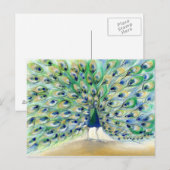 Peacock in San Diego 2013 Briefkaart (Voorkant / Achterkant)